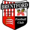 Brentford badge / logo / crest