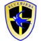 Cardiff City badge / logo / crest