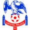 Crystal Palace badge / logo / crest