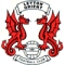 Leyton Orient badge / logo / crest