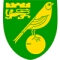 Norwich City badge / logo / crest