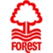 Nottingham  Forest badge / logo / crest