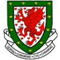 Wales badge / logo / crest